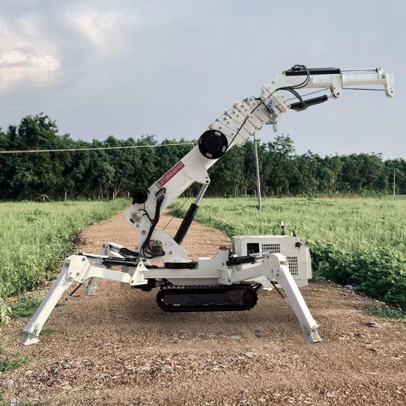 Compacte Mini Spinnenkraan 1,5 - Compact Crawler Boom Lift recensie en prijs